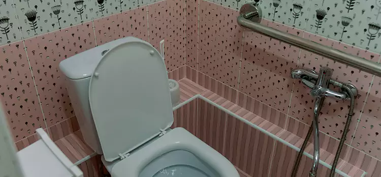 Meeting Diverse Needs With Accessible Restroom Solutions in Glenvar Heights, FL